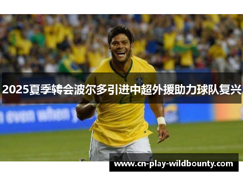 2025夏季转会波尔多引进中超外援助力球队复兴